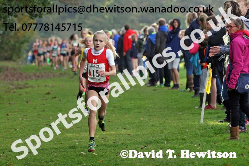 Girls under-13s Northern Cross Country Relays. Photo: David T. Hewitson/Sports for All Pics
